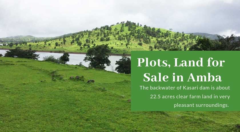 Agricultural Land for Sale in Amba, Kolhapur